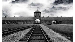 Európai holokauszt emléknap