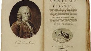 Megszületett Carl von Linné svéd botanikus