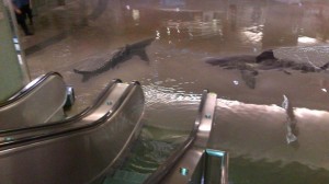Nem úszkálnak cápák a kuvaiti Tudományos Központ alagsorában