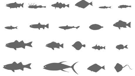 Melyik tengeri állatfajt ehetjük?