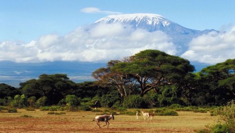 Hódítsd meg a Kilimandzsárót – biciklin!