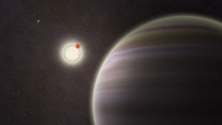 Négyes csillagrendszerhez tartozó bolygót fedeztek fel