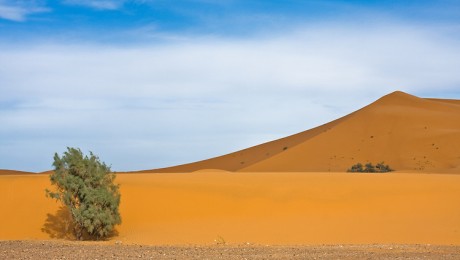 Tavas-füves vidékből vált sivatagossá Észak-Afrika