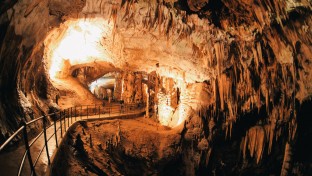 A „bébi-sárkány” élőhelye: a sokszínű Postojna barlangrendszer
