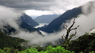 Új-Zélandon van a világ nyolcadik csodája?