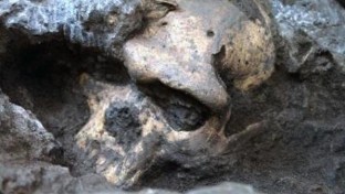 A grúz előember a Homo erectus fajához tartozott egy új kutatás szerint