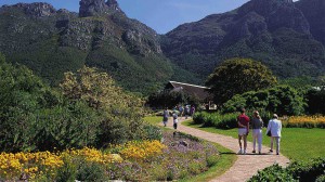 Beköszönt a tavasz Dél-Afrika legszebb botanikus kertjében