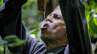 Az amazóniai Indiana Jones: Charles Brewer-Carías
