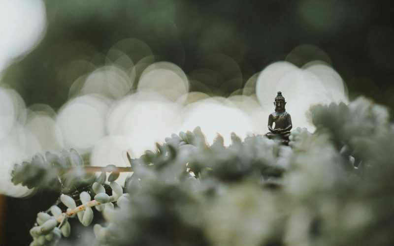 Buddhista templomok és szentélyek Magyarországon