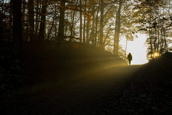 Az egyik legszebb hobbi: a túrázás világa és szabályai